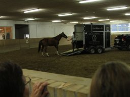 IMG_1504_web